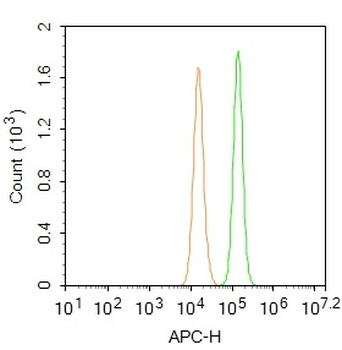 PTPN13 Rabbit Polyclonal Antibody (BF647)