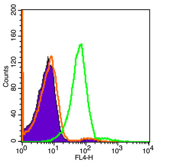 CD28 Rabbit Polyclonal Antibody (BF647)