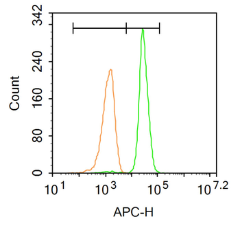 CCR7 Rabbit Polyclonal Antibody (BF647)
