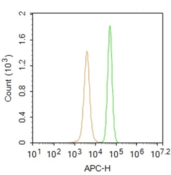 CXorf21 Rabbit Polyclonal Antibody (BF647)