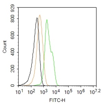 PDE4D Rabbit Polyclonal Antibody (FITC)