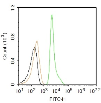 PPAR gamma Rabbit Polyclonal Antibody (FITC)