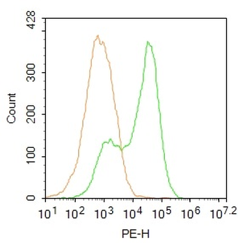 SGK1 Rabbit Polyclonal Antibody