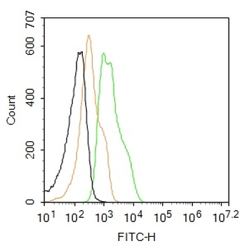 TERT Rabbit Polyclonal Antibody (FITC)