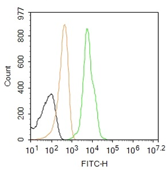 TERT Rabbit Polyclonal Antibody (FITC)