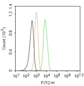 TrkA Rabbit Polyclonal Antibody (FITC)