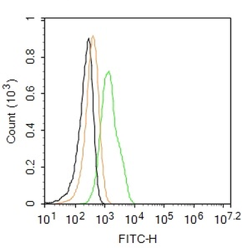 TrkA Rabbit Polyclonal Antibody (FITC)