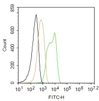 TrkA Rabbit Polyclonal Antibody (FITC)