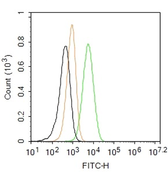 TrkA Rabbit Polyclonal Antibody (FITC)