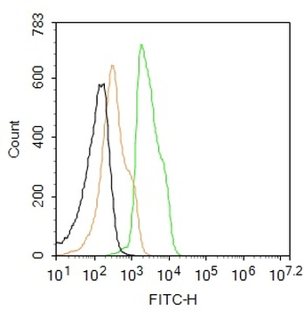 XIAP/BIRC4 Rabbit Polyclonal Antibody (FITC)