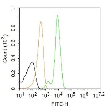 XIAP/BIRC4 Rabbit Polyclonal Antibody (FITC)