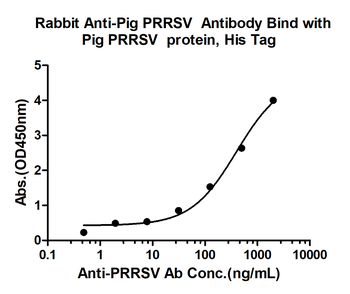 PRRSV N Rabbit Polyclonal Antibody