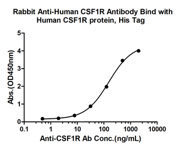 CSF1R Rabbit Polyclonal Antibody