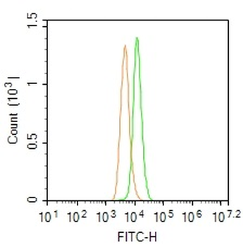 MUL1 Rabbit Polyclonal Antibody