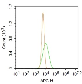 Endomucin Rabbit Polyclonal Antibody (BF647)