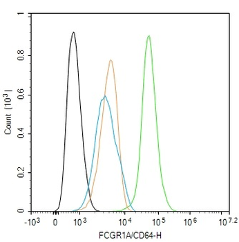 FCGR1A/CD64 Rabbit Polyclonal Antibody