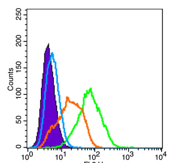 CD163 Rabbit Polyclonal Antibody