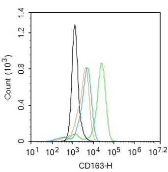 CD163 Rabbit Polyclonal Antibody