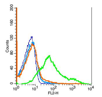CD45 Rabbit Polyclonal Antibody