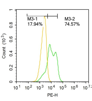 Cardiac Troponin T Rabbit Polyclonal Antibody