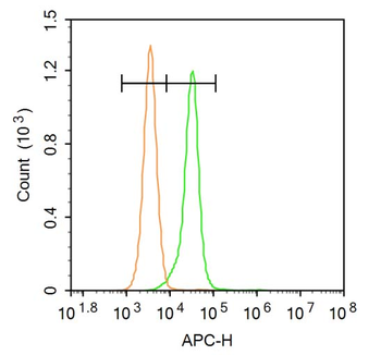 EpCAM Rabbit Polyclonal Antibody