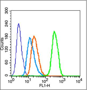 Phospho-Estrogen Receptor alpha (Ser106) Rabbit Polyclonal Antibody