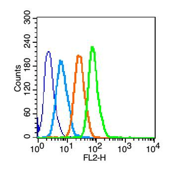 GLUT2 Rabbit Polyclonal Antibody