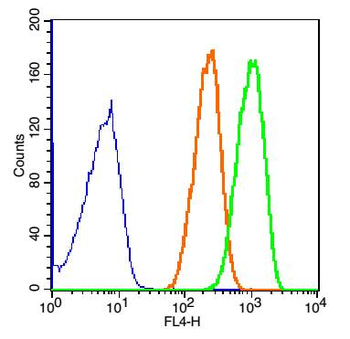 GADD34 Rabbit Polyclonal Antibody
