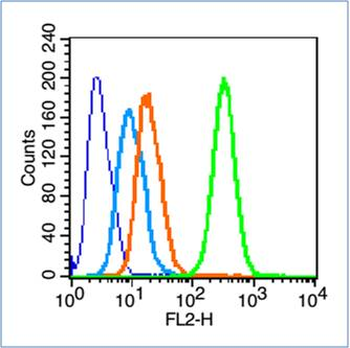Phospho-C-Myc (Ser373) Rabbit Polyclonal Antibody