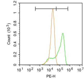 PI3 Kinase p110 beta Rabbit Polyclonal Antibody