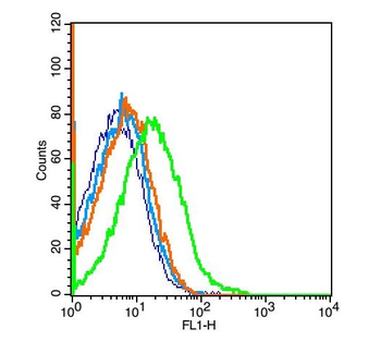 PEPT1 Rabbit Polyclonal Antibody