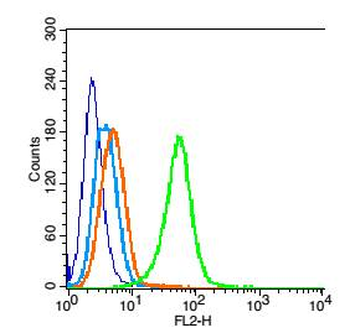 RAD50 Rabbit Polyclonal Antibody