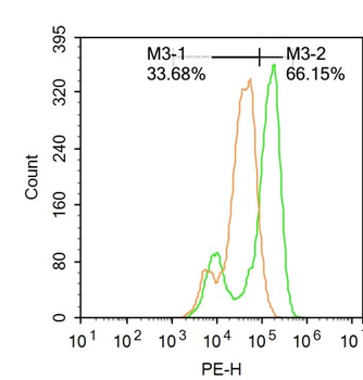 Phospho-IRF3 (Ser386) Rabbit Polyclonal Antibody