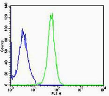 TTF1/NKX2-1 Rabbit Polyclonal Antibody