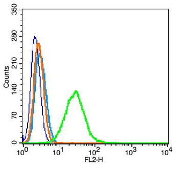 Phospho-TrkA (Tyr490) Rabbit Polyclonal Antibody