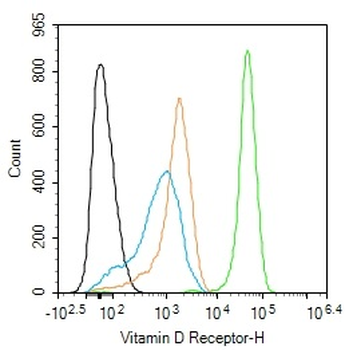 Vitamin D Receptor Rabbit Polyclonal Antibody
