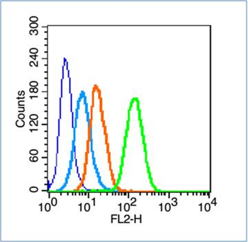 Phospho-14-3-3 theta (Ser232) Rabbit Polyclonal Antibody