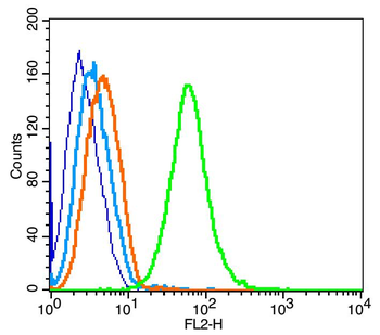 TFRC Rabbit Polyclonal Antibody
