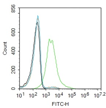 TFRC Rabbit Polyclonal Antibody