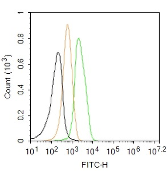Cardiac Troponin T Rabbit Polyclonal Antibody (FITC)