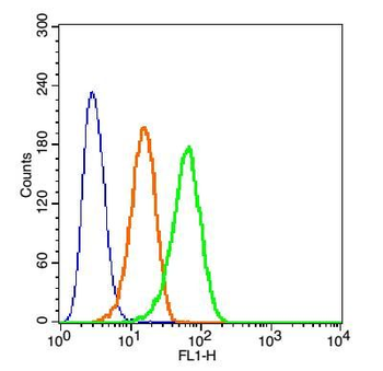 Beta Defensin 3 Rabbit Polyclonal Antibody (FITC)