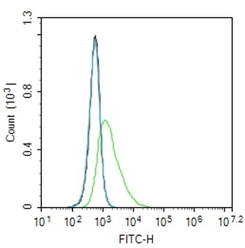 Phospho-GluR1 (Ser836) Rabbit Polyclonal Antibody
