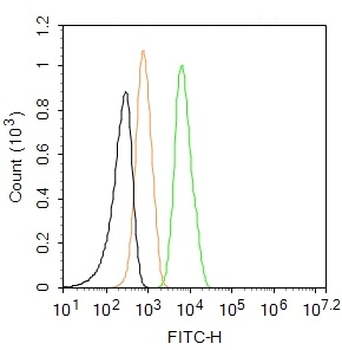 Occludin Rabbit Polyclonal Antibody (FITC)