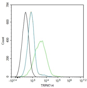 TRPM7 Rabbit Polyclonal Antibody