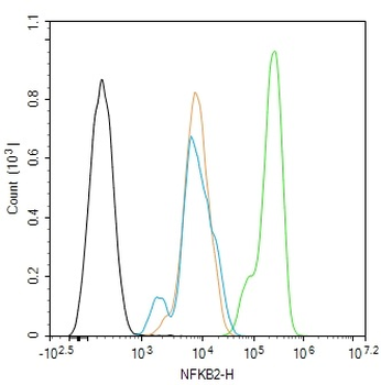 NFKB2 Rabbit Polyclonal Antibody