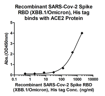 Recombinant SARS-Cov-2 Spike RBD protein (XBB.1/Omicron), His (HEK293)
