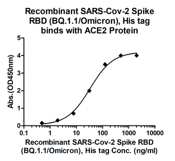 Recombinant SARS-Cov-2 Spike RBD protein (BQ.1.1/Omicron), His (HEK293)