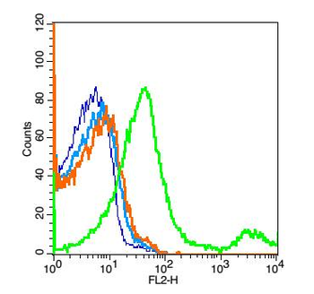 CD62p Rabbit Polyclonal Antibody