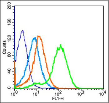 Fas Ligand Rabbit Polyclonal Antibody