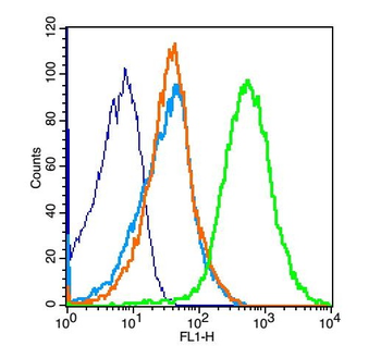 Fas Ligand Rabbit Polyclonal Antibody